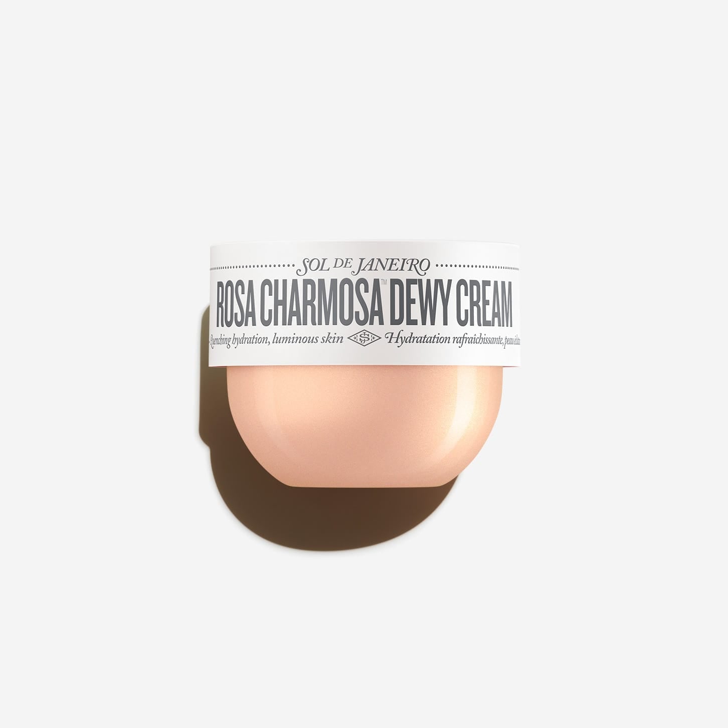 Rosa Charmosa™ Dewy Cream
