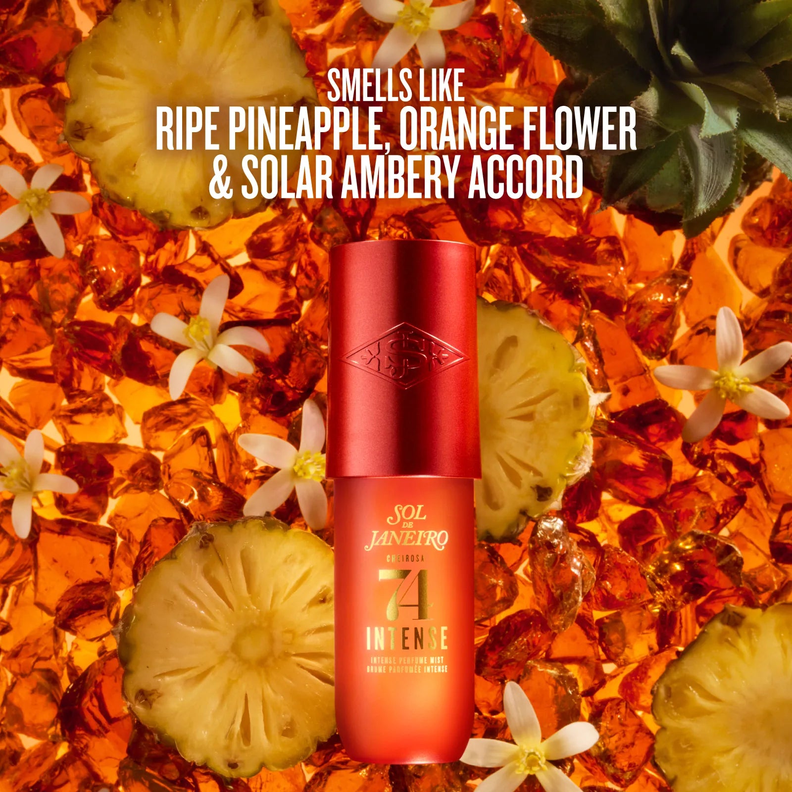 Intense Perfume Mist Trio